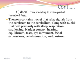 Cont…..
C) dorsal corresponding to rostra part of
rhomboid fossa.
 The pons contains nuclei that relay signals from
the cerebrum to the cerebellum, along with nuclei
that deal primarily with sleep, respiration,
swallowing, bladder control, hearing,
equilibrium, taste, eye movement, facial
expressions, facial sensation, and posture.
5/20/2013 HINDBRAIN 12
 