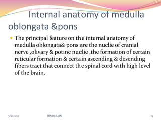 Internal anatomy of medulla
oblongata &pons
 The principal feature on the internal anatomy of
medulla oblongata& pons are the nuclie of cranial
nerve ,olivary & potinc nuclie ,the formation of certain
reticular formation & certain ascending & desending
fibers tract that connect the spinal cord with high level
of the brain.
5/20/2013 HINDBRAIN 13
 