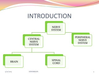 INTRODUCTION
NERVE
SYSTEM
CENTRAL
NERVE
SYSTEM
BRAIN
SPINAL
CORD
PERIPHERAL
NERVE
SYSTEM
5/20/2013 HINDBRAIN 3
 