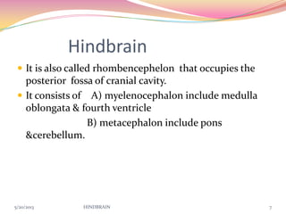 Hindbrain
 It is also called rhombencephelon that occupies the
posterior fossa of cranial cavity.
 It consists of A) myelenocephalon include medulla
oblongata & fourth ventricle
B) metacephalon include pons
&cerebellum.
5/20/2013 HINDBRAIN 7
 