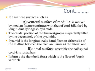 Cont……….
 It has three surface such as
A) venteral surface of medulla is marked
by median fissure continues with that of cord &flanked by
longitudinally ridges& pyramids.
 The caudal portion of the fissures(groove) is partially filled
by the decussately of the pyramids.
 Pyramid is the longitudinally band fiber on either side of
the midline between the median fissures &the lateral one .
B)dorsal surface resemble the half spinal
cord &its rostra hay.
 It form s the rhomboid fossa which is the floor of fourth
ventricle.
5/20/2013 HINDBRAIN 9
 