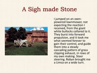 A Sigh made Stone
         I jumped on an oxen-
         powered lawnmower, not
         expecting the reaction I
         received, from the giant
         white bullocks collared to it.
         They burst into forward
         propulsion, and it took me
         what seemed forever to
         gain their control, and guide
         them into a steady
         cascading pattern of grass
         clipping exhaust, in rows of
         my own making. Steer
         steering. Robyn brought me
         a Limca on a wide turn.
 