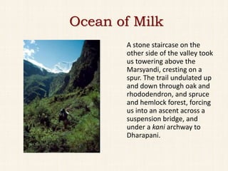 Ocean of Milk
       A stone staircase on the
       other side of the valley took
       us towering above the
       Marsyandi, cresting on a
       spur. The trail undulated up
       and down through oak and
       rhododendron, and spruce
       and hemlock forest, forcing
       us into an ascent across a
       suspension bridge, and
       under a kani archway to
       Dharapani.
 