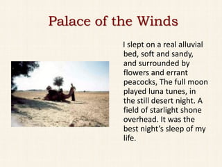Palace of the Winds
          I slept on a real alluvial
          bed, soft and sandy,
          and surrounded by
          flowers and errant
          peacocks, The full moon
          played luna tunes, in
          the still desert night. A
          field of starlight shone
          overhead. It was the
          best night’s sleep of my
          life.
 