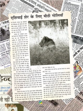 ,f'k;kbZ 'ksj osQ fy, ehBh xksfy;k¡
ubZ fnYyh% ?kk?kl ,d ,f'k;kbZ
'ksj fpfdRlk dh nqfu;k dk ,d
thrk tkxrk peRdkj cu x;kA
cpus dh dksbZ mEehn u gksus ij
Hkh vkt og ¯t+ nk gS vkSj igys
dh rjg xjtrk gSA
?kk?kl dks vDVwcj 2004
dks fnYyh osQ fpfM+;k?kj esa yk;k
x;k FkkA og fpfM+;k?kj osQ
ekgkSy esa vPNh rjg ls je
x;k FkkA 15 ekpZ dks mlus jkst+
dh rjg viuk [kkuk iwjk ugha
[kk;kA fpfM+;k?kj osQ MkWDVjksa us
bl ckr ij è;ku nsrs gq, mls
rhu fnu rd yxkrkj lqbZ yxkbZA
ij blls mls dksbZ I+kQk;nk u
gqvk] vc rks mlus [kkuk ,dne
NksM+ gh fn;k Fkk vkSj eq¡g ls
ykj Hkh cgus yxh FkhA
?kk?kl dh fxjrh gqbZ gkyr
ns[k mlosQ [kwu osQ uewus tk¡p osQ
fy, Hksts x,A gkyk¡fd bl chp
?kk?kl us FkksM+kcgqr rks [kkuk
'kq: dj gh fn;k Fkk ij mldh
gkyr Bhd ugha dgh tk ldrh FkhA
og vius fiNys iSjksa ls y¡xM+kus Hkh yxk Fkk vkSj
Bhd ls [kM+k Hkh ugha gks ik jgk FkkA fnYyh osQ fpfM+;k?kj
osQ funs'kd Mh-,u- ¯lg us crk;k ¶,d eghus ckn rks
gkyr ;g gks xbZ fd ?kk?kl vius 'kjhj dk fiNyk fgLlk
mBkus esa vleFkZ gks x;kA geus mls fu;fer :i ls fn,
tkus okys ek¡l osQ LFkku ij eVu vkSj fpdu [kkus osQ fy,
fn;kA [kkus esa fd, x, cnyko dk vlj gqvk vkSj ?kk?kl
us 7080 izfr'kr rd [kkuk [kk;k tks fd ,d vPNk
laosQr FkkA gkyk¡fd mldh gkyr esa dksbZ lq/kj uT+kj ugha
vk jgk FkkA
?kk?kl dks bykt osQ fy, nwljs fo'ksk fpfdRldh;
fiatjs esa j[kk x;kA mlosQ bykt esa dksbZ dksrkgh ugha cjrh
tk jgh Fkh] mlosQ 'kjhj dh Hkki ls ¯ldkbZ Hkh dh tkrh
Fkh vkSj vc og Hkkstu Hkh vPNh rjg ls ysus yx x;k
Fkk ij gkyr mldh oSlh gh cuh gqbZ FkhA fpfM+;k?kj osQ
lHkh yksx ¯pfrr gks x,A
gkyr ,slh gks xbZ Fkh fd vc fnu fxuus osQ vykok
dksbZ pkjk u Fkk
?kk?kl dh ;g n'kk ns[kdj geus xqtjkr osQ oU;tho
fo'kskKksa ls ;g lkspdj lykg ysus dk fu.kZ; fd;k fd
¯lg Hkkjr esa flI+kZQ xqtjkr osQ fxj taxyksa eas ik, tkrs gSa]
'kk;n os gh dksbZ jkg lqk losaQA¸ flag us vkxs crk;k
xqtjkr osQ izeq[k oU;tho laj{kd us mUgsa vk.kan osQ MkWDVj
vkj-th- tkuh ls laioZQ djus dk lqko fn;kA
?kk?kl osQ bykt dh fjiksVZ ns[kus osQ ckn MkW tkuh us
mls gksE;ksiSFkh nokb;k¡ nsus dh lykg nhA gksE;ksiSFkh bykt
'kq: gksus osQ nks ekg osQ Hkhrj gh ?kk?kl dh gkyr lq/juh
'kq: gks xbZ vkSj vc og vius pkjksa iSjksa ij [kM+k gks ik
jgk FkkA ;g ckr gS 3 vxLr dh ;kuh fd iwjs Ng ekg
og rdyhI+kQ esa jgkA chekjh dh otg ls og cgqr deT+kksj
gks x;k gS ij gkykr esa vHkh lq/kj gSA
117
2019-2020
 