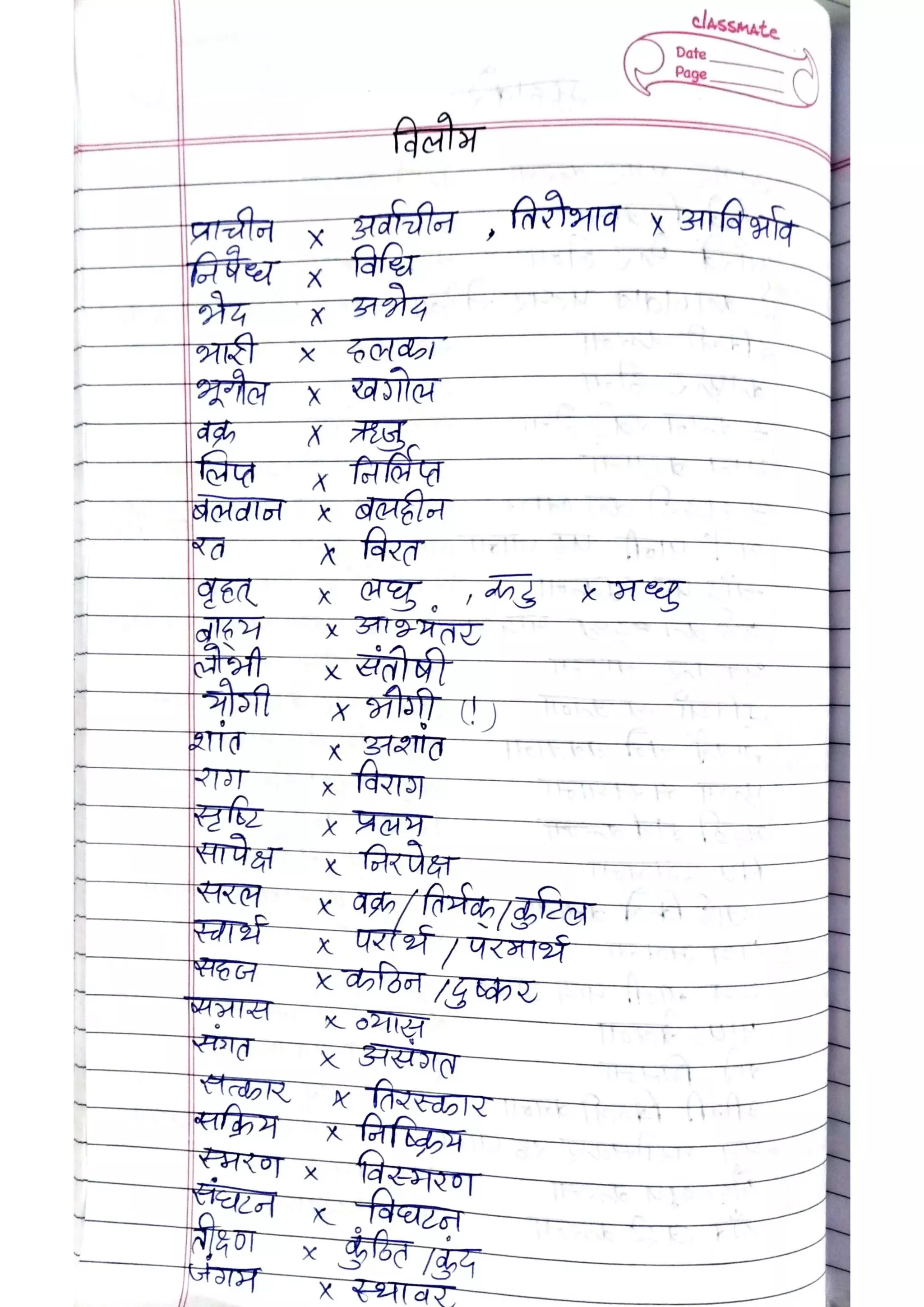 ICSE Hindi Class X Handwritten Notes