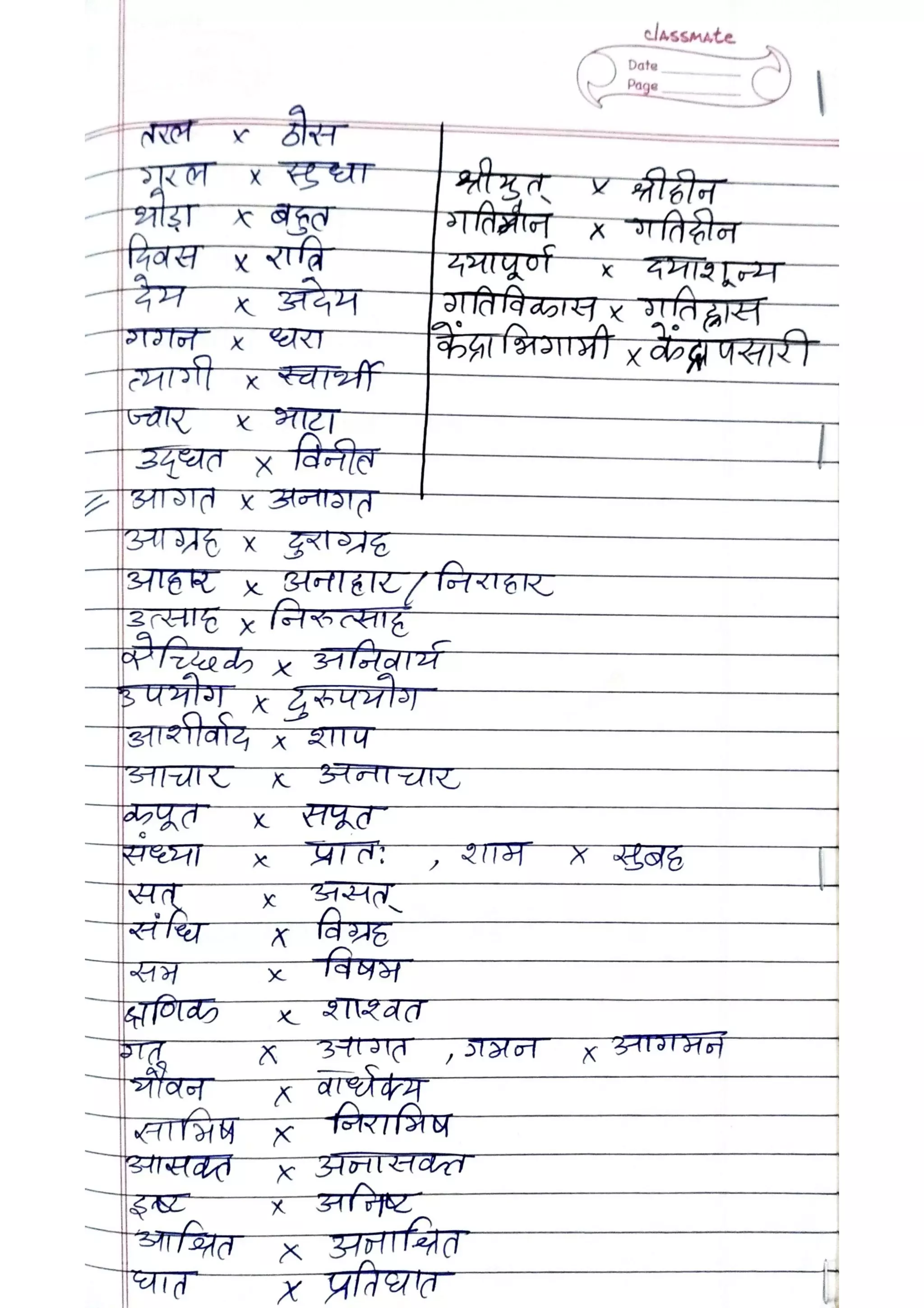 ICSE Hindi Class X Handwritten Notes