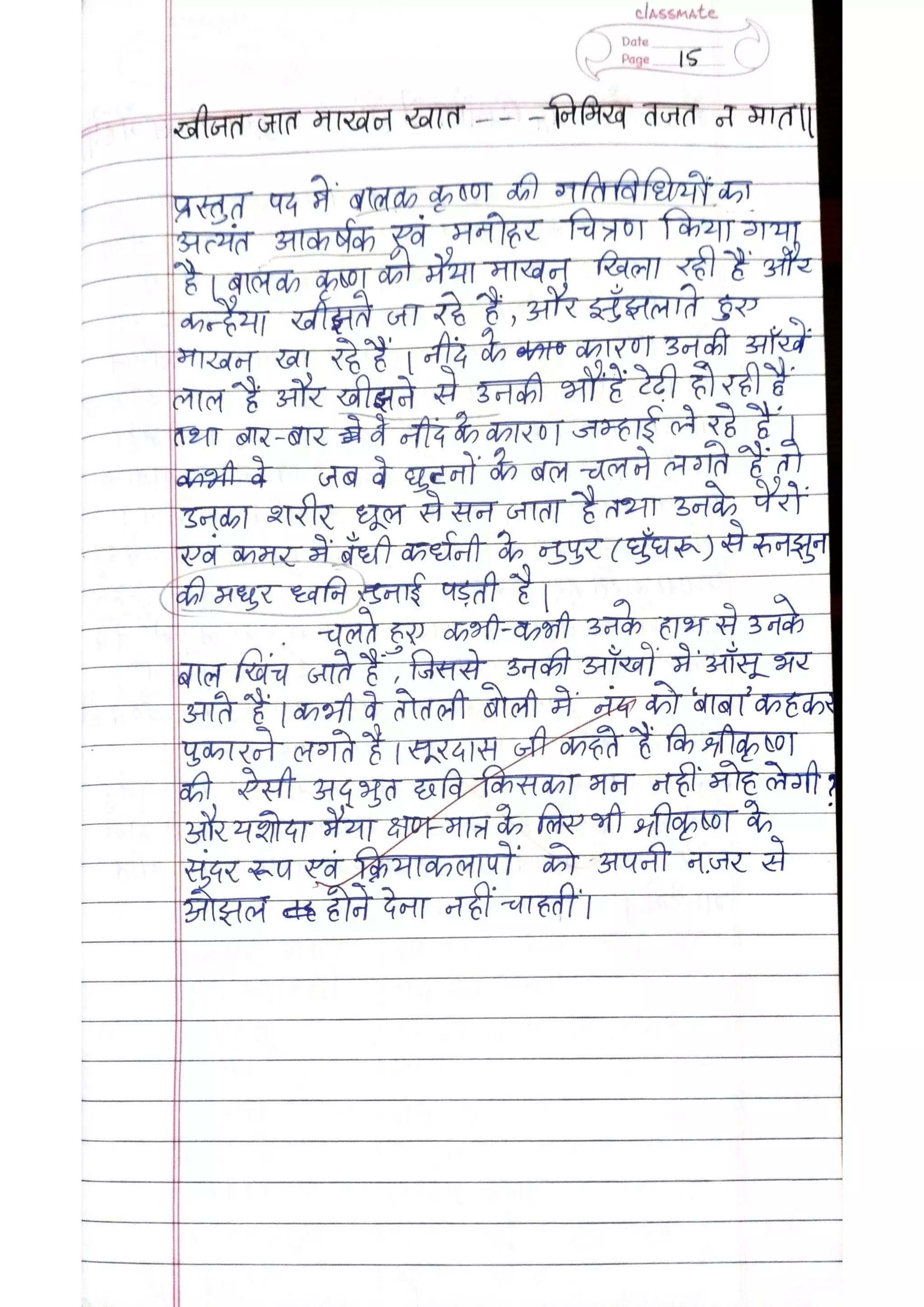 ICSE Hindi Class X Handwritten Notes