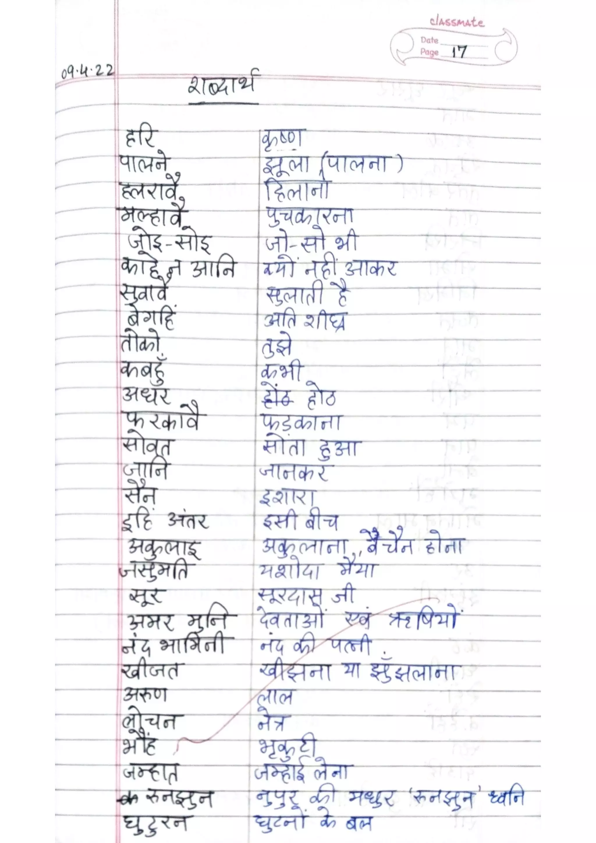 ICSE Hindi Class X Handwritten Notes