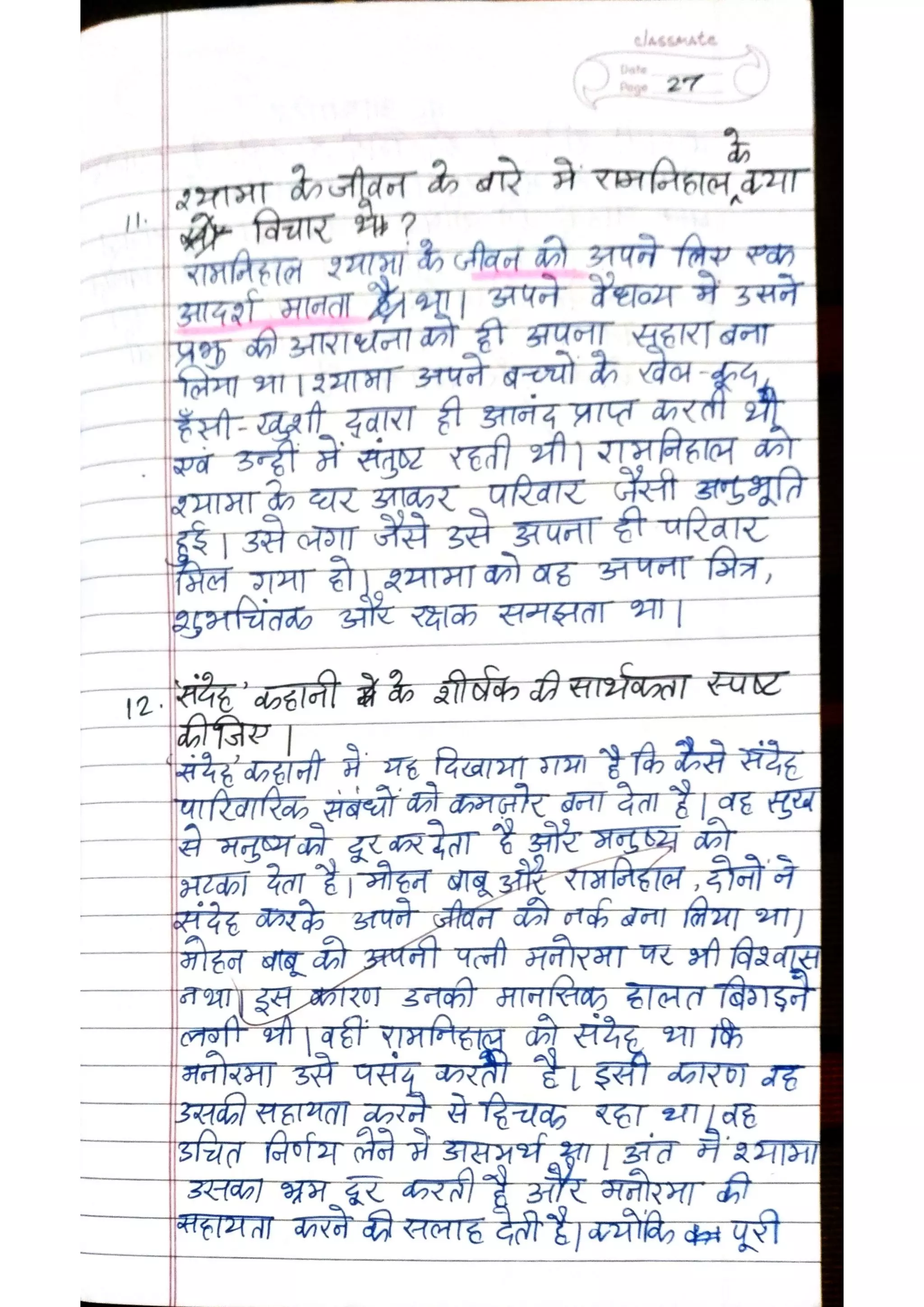 ICSE Hindi Class X Handwritten Notes