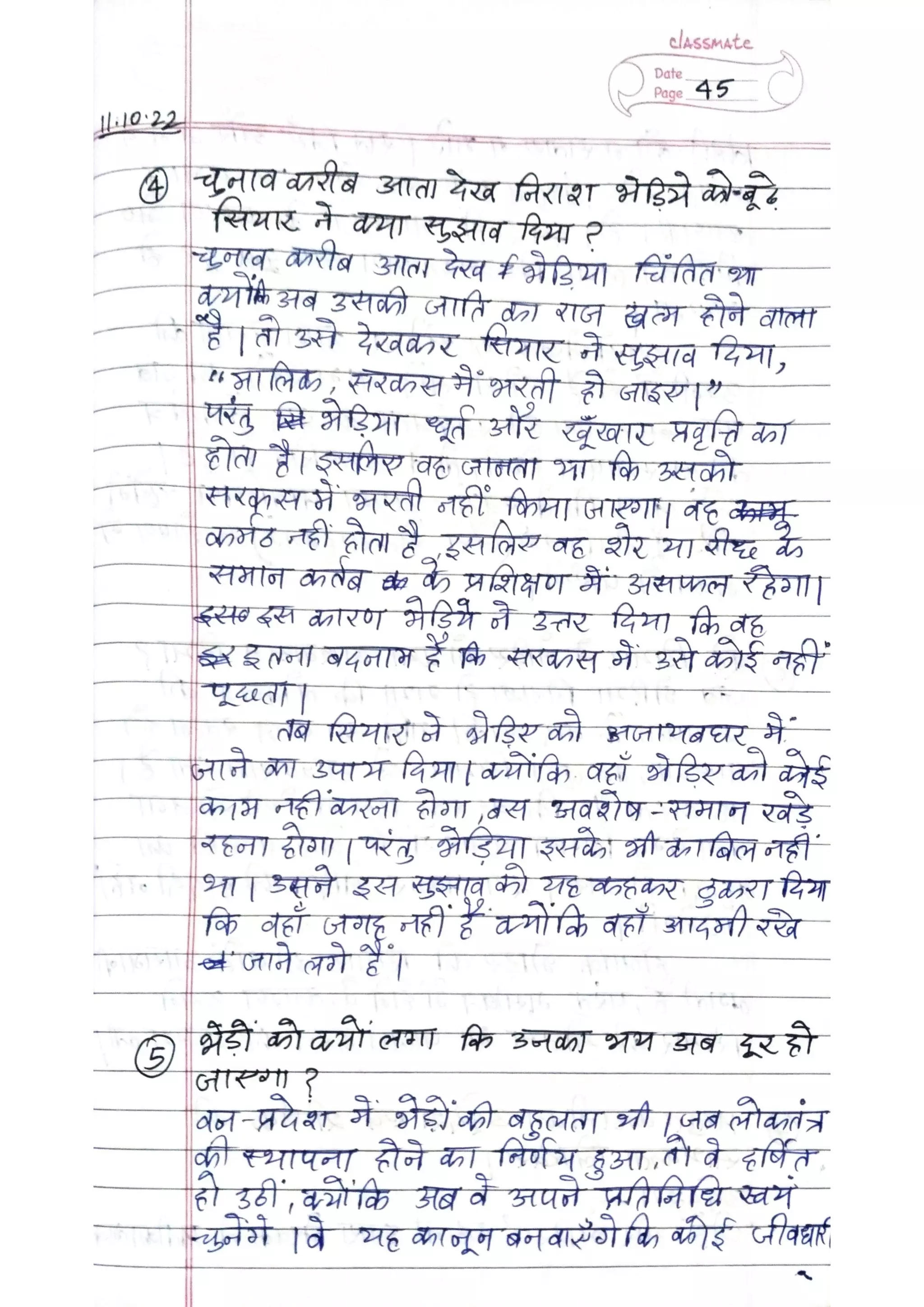 ICSE Hindi Class X Handwritten Notes