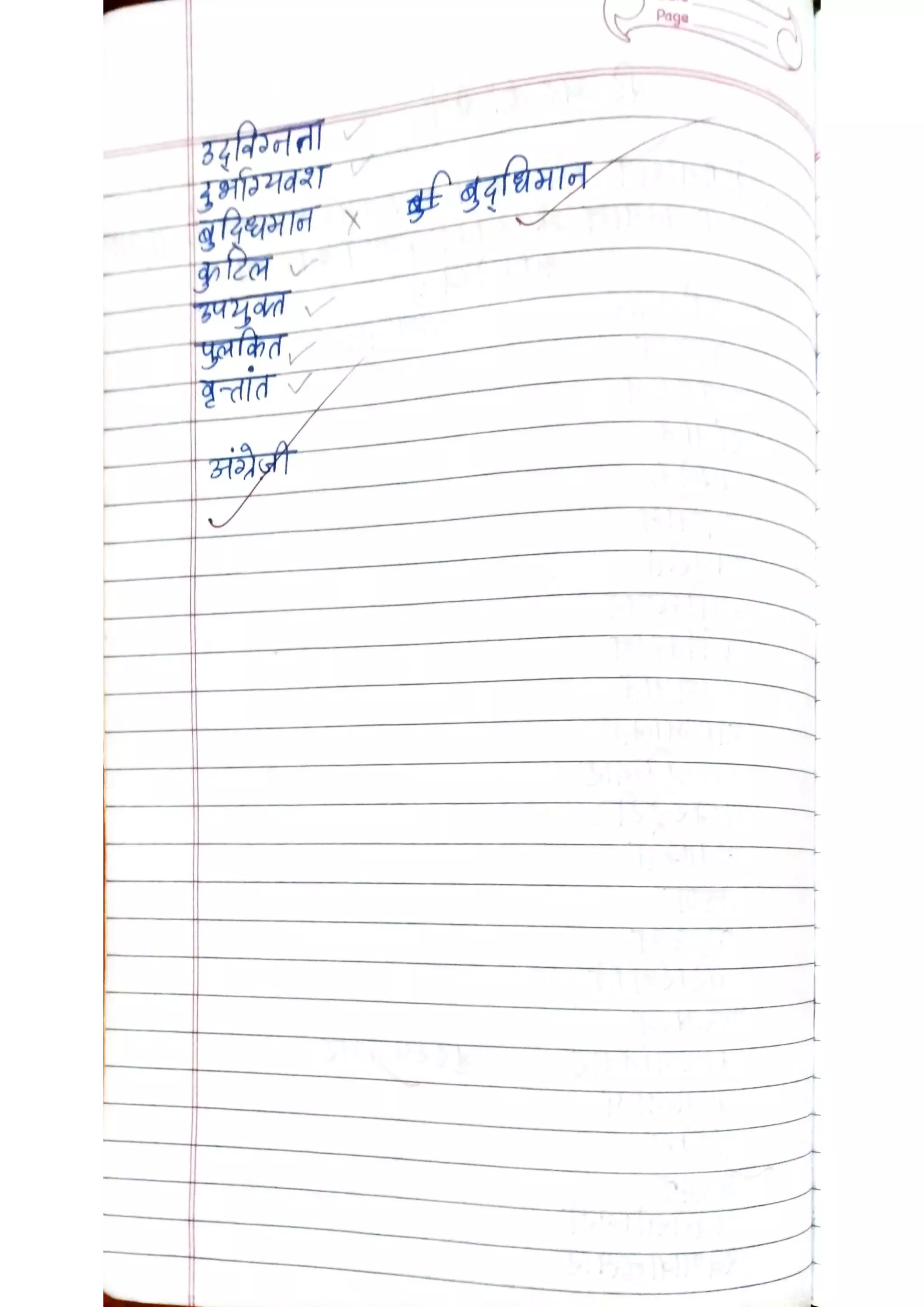 ICSE Hindi Class X Handwritten Notes