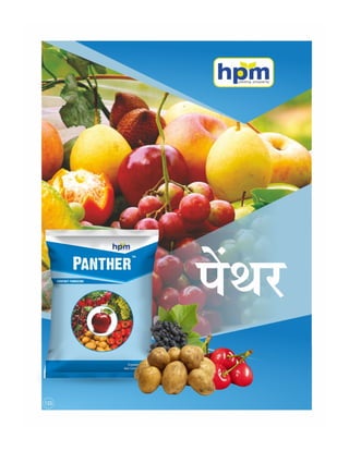 Hindi handbill