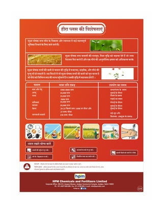 Hindi handbill