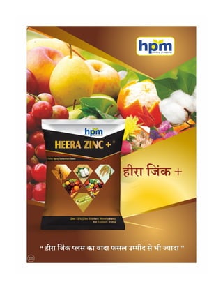 Hindi handbill