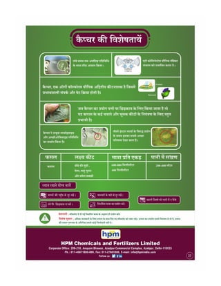 Hindi handbill