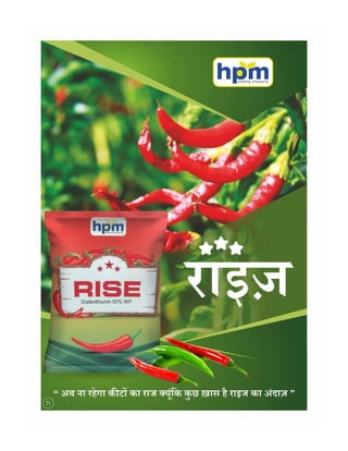 Hindi handbill
