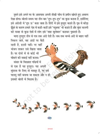 109
rqeus bls vius ?kj osQ vklikl viuh rh[kh pksap ls T+kehu [kksnrs gq, vo';
ns[kk gksxkA cksyrs le; ;g rhu ckj ^gqi&gqi&gqi* lk oqQN dgrk gS] blhfy,
bls vaxzs”kh esa ^gwi Å* dgk tkrk gSA ¯gnh esa bls gqngqn dgrs gSaA nwc esa dhM+k
<w¡<+us ds dkj.k gekjs ns'k esa dgha&dgha bls ^inqc;k* Hkh dgrs gSa vkSj lqanj dyxh
dh otg ls oqQN ns'kksa esa yksx bls ^'kkg lqyseku* dgdj iqdkjrs gSaA
eknk gqngqn rhu ls nl rd vaMs nsrh gSA tc rd cPps vaMs ls ckgj ugha
fudy tkrs] og vaMksa ij cSBh
jgrh gS] gVrh ughaA uj ogha
Hkkstu ykdj mls f[kyk tkrk
gSA ij nksuksa esa ls dksbZ Hkh
?kksalys dh lI+kQkbZ ugha djrkA
lalkj osQ fo[;kr if{k;ksa esa
ls ,d gS ;g gqngqnA ;g viuh
lqanjrk osQ fy, rks e'kgwj gS] ij bls
ikyrw ugha cuk;k tk ldrk vkSj u gh
bldh cksyh esa feBkl gSA
2019-20
 