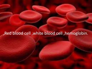 ,Red blood cell ,white blood cell ,hemoglobin.
 