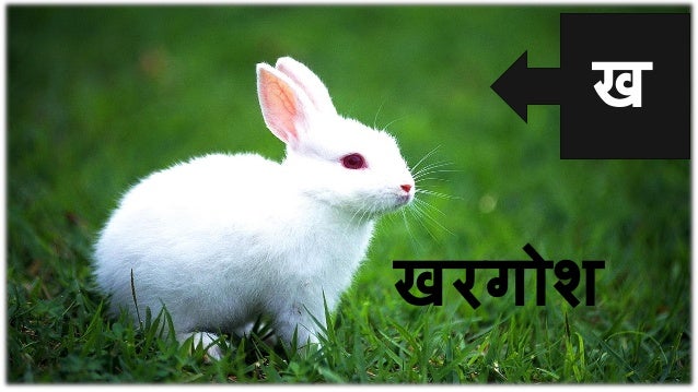 Hindi varnamala