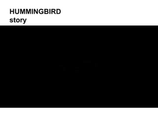 HUMMINGBIRD story
 