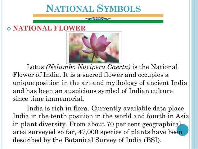 Our national flower essay for class 3 picture