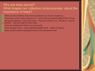 Why are trees sacred? What shapes our collective consciousness  about the importance of trees? When we were children, trees were magnificent and old and mysterious… Trees give us fruit, honey, places to sit – some trees are parasitic/killers! War of trees Not paying attention – they aren’t there – they are invisible to us.  We take “a” tree for granted… may lose sight of many trees…. Trees are livelihood for folks in our community Druid concept of tree – roots extended beneath earth – realm of mystery Many ancient cultures developed sense of the sacredness trees 
