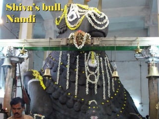 Shiva’s bull,
Nandi
Bull temple
 