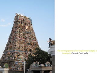 The tower (gopuram) of the Kapaleeswar Temple, a
complex in Chennai, Tamil Nadu

 