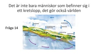 Det är inte bara människor som befinner sig i
ett kretslopp, det gör också världen
Fråga 14
 