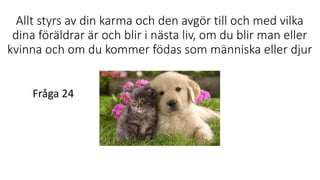 Allt styrs av din karma och den avgör till och med vilka
dina föräldrar är och blir i nästa liv, om du blir man eller
kvinna och om du kommer födas som människa eller djur
Fråga 24
 