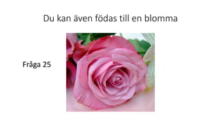 Du kan även födas till en blomma
Fråga 25
 