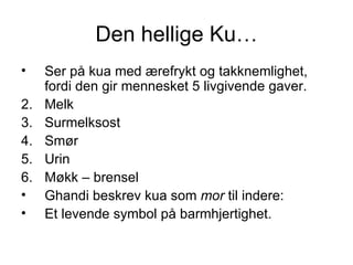 Den hellige Ku… Ser på kua med ærefrykt og takknemlighet, fordi den gir mennesket 5 livgivende gaver. Melk Surmelksost Smør Urin Møkk – brensel Ghandi beskrev kua som  mor  til indere:  Et levende symbol på barmhjertighet. 