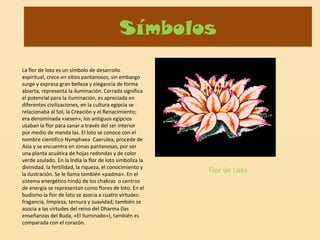 Símbolos
La flor de loto es un símbolo de desarrollo
espiritual, crece en sitios pantanosos, sin embargo
surge y expresa gran belleza y elegancia de forma
abierta, representa la iluminación. Cerrada significa
el potencial para la iluminación, es apreciada en
diferentes civilizaciones, en la cultura egipcia se
relacionaba al Sol, la Creación y el Renacimiento;
era denominada «sesen», los antiguos egipcios
usaban la flor para sanar a través del ser interior
por medio de manda las. El loto se conoce con el
nombre científico Nymphaea Caerulea, procede de
Asia y se encuentra en zonas pantanosas, por ser
una planta acuática de hojas redondas y de color
verde azulado. En la India la flor de loto simboliza la
divinidad, la fertilidad, la riqueza, el conocimiento y
la ilustración. Se le llama también «padma». En el
sistema energético hindú de los chakras o centros
de energía se representan como flores de loto. En el
budismo la flor de loto se asocia a cuatro virtudes:
fragancia, limpieza, ternura y suavidad; también se
asocia a las virtudes del reino del Dharma (las
enseñanzas del Buda, «El Iluminado»), también es
comparada con el corazón.

Flor de Loto

 