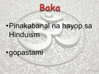 •Pinakabanal na hayop sa
Hinduism
•gopastami
 