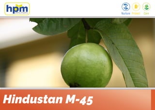 Hindustan M-45
 