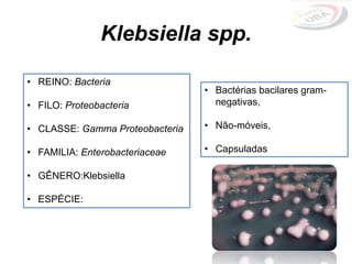 Klebsiella spp.
• Bactérias bacilares gram-
negativas,
• Não-móveis,
• Capsuladas
• REINO: Bacteria
• FILO: Proteobacteria
• CLASSE: Gamma Proteobacteria
• FAMILIA: Enterobacteriaceae
• GÊNERO:Klebsiella
• ESPÉCIE:
 