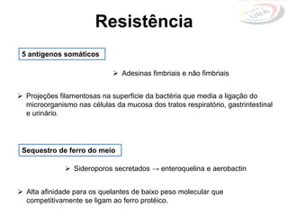 Resistência
5 antígenos somáticos
 Adesinas fimbriais e não fimbriais
 Projeções filamentosas na superficie da bactéria que media a ligação do
microorganismo nas células da mucosa dos tratos respiratório, gastrintestinal
e urinário.
Sequestro de ferro do meio
 Sideroporos secretados → enteroquelina e aerobactin
 Alta afinidade para os quelantes de baixo peso molecular que
competitivamente se ligam ao ferro protéico.
 