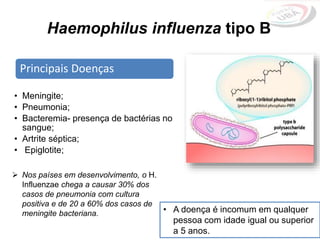 Haemophilus influenza tipo B
Principais Doenças
• Meningite;
• Pneumonia;
• Bacteremia- presença de bactérias no
sangue;
• Artrite séptica;
• Epiglotite;
• A doença é incomum em qualquer
pessoa com idade igual ou superior
a 5 anos.
 Nos países em desenvolvimento, o H.
Influenzae chega a causar 30% dos
casos de pneumonia com cultura
positiva e de 20 a 60% dos casos de
meningite bacteriana.
 