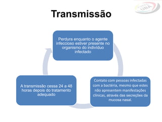 Transmissão
Perdura enquanto o agente
infeccioso estiver presente no
organismo do indivíduo
infectado
Contato com pessoas infectadas
com a bactéria, mesmo que estes
não apresentem manifestações
clínicas, através das secreções da
mucosa nasal.
A transmissão cessa 24 a 48
horas depois do tratamento
adequado
 