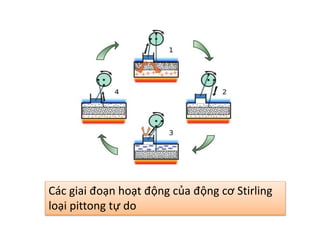 Các giai đoạn hoạt động của động cơ Stirling 
loại pittong tự do 
 
