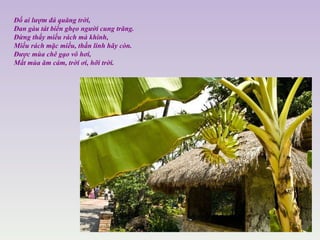 Đố ai lượm đá quăng trời,  Đan gàu tát biển ghẹo người cung trăng.  Đừng thấy miếu rách mà khinh,  Miếu rách mặc miếu, thần linh hãy còn.  Được mùa chê gạo vô hơi,  Mất mùa ăm cám, trời ơi, hỡi trời.  