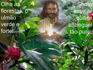 Sente esse ar que te entreguei tão puro.Olha as florestas, pulmão verde e forte!