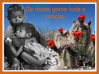 De dores geme toda a criação.