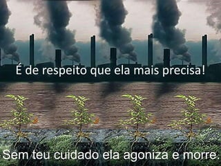 É de respeito que ela mais precisa!Sem teu cuidado ela agoniza e morre.