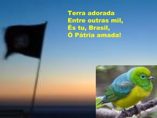 Terra adorada Entre outras mil, És tu, Brasil, Ó Pátria amada! 