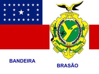 BANDEIRA  BRASÃO  