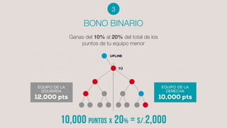 BONO BINARIO
Ganas del 10% al 20% del total de los
puntos de tu equipo menor
3
 