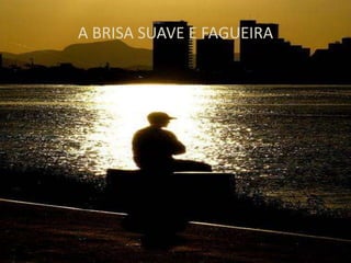 A BRISA SUAVE E FAGUEIRA