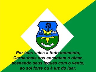 Por teus vales a todo momento,Carnaubais nos encantam o olhar,acenando seus leques com o vento,ao sol forte ou à luz do luar.
